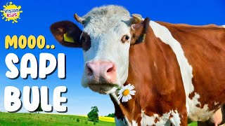 SUARA SAPI MOO.. MOO.. | SAPI LUCU
