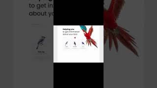 Modern Website UI Designs | Website UI UX Design Gig