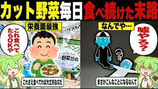 カット野菜を毎日食べ続けた結果【ずんだもん＆ゆっくり解説】