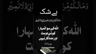 be shak allah k siwa koi dost nai #hadeesotafseer #quotes #allama #iftikhararif #waqt #hawa