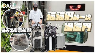 貓貓們第一次出遠門/第一次搭高鐵/第一次住寵物旅館/第一次逛六合夜市/第一次到高雄/貓貓們好多的第一次…