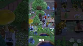 Building a Fun Hideaway with My Channel Members! #shorts