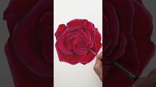 Painting of a vibrant red rose