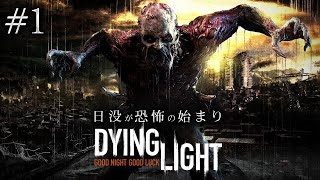 #1【Dying Light】血肉に飢えたゾンビはびこる都市でサバイバル【ホラーゲーム  ダイイングライト】