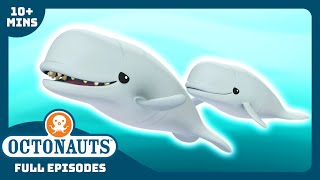 @Octonauts -  🐋 The Beluga Whales 🌊 | Season 1 | Full Episodes | Cartoons for Kids