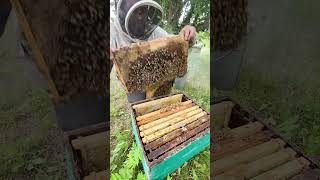 Dreams Do Come True. Never Give Up #dailybuzz #northernbeeman
