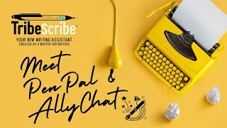Understanding Pen Pal and Ally Chat Features