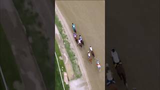 Watch Journalism battle from above 🏇👁🐦
