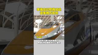李强在印尼雅加达试乘雅万高铁#雅万高铁 #尽知天下事