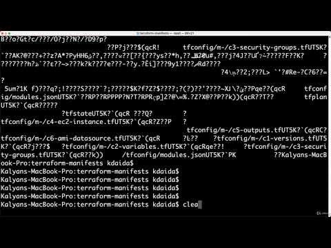 71. Learn about terraform show command
