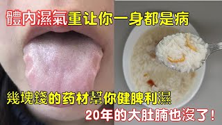 濕氣不除，百病纏身！！幾塊錢的药材幫你健脾利濕，幾十年的大肚腩也沒了！遠離各大疾病