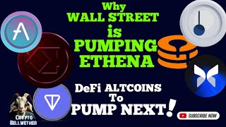 DeFi HOTTEST Crypto Sector - Wall Street picked ETHENA to DOMINATE DeFi  +MAPLE, PENDLE, MORPHO, TON