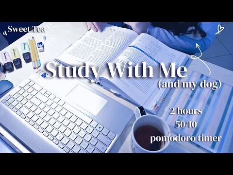 2 Hours Study With Me (and my dog)| 50/10 Pomodoro Timer, Crackling Fireplace Sound, No Music :)