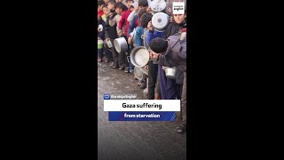 IRC nutrition manager: Gaza suffering from starvation
