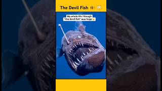 Mystery of the Devil Anguler Fish 🐠 😳!