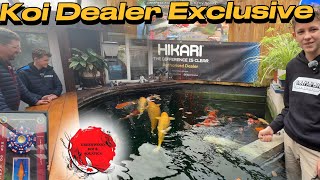 Exploring Greenwood Koi Shop And Their Champion Fish Collection #koi #fish #koifish