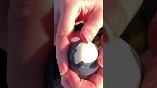 Eating a Volcanic Egg at Owakudani, Hakone, Japan 🌋 🥚