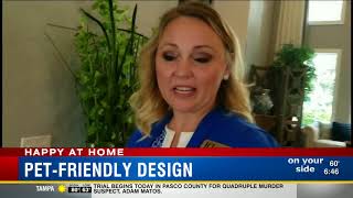 News Channel 8 Segment - Pet Friendly Home Design Gains Popularity