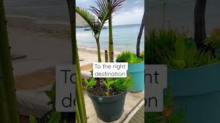 Must know hack for #success #motivation