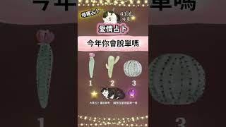 塔羅占卜🔮2025你會脫單嗎？ 2025會有新戀情嗎？下一任對象特質
