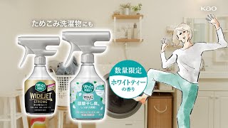 花王 リセッシュ 除菌EX ワイドジェットストロング 「悩める女性 洗濯かご臭」 動画広告