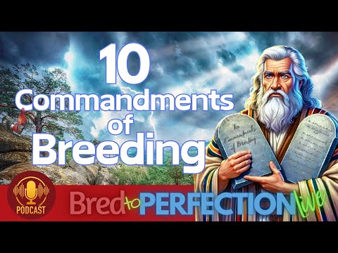 Ep153 - The 10 Commandments of Breeding: Building the Foundation for a True, Lasting Strain
