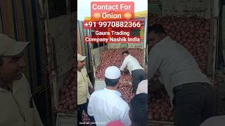 Onion Market Nashik India #onionrate #onion #agriexport