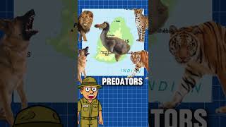 How the Dodo Bird Went Extinct in Just 100 Years