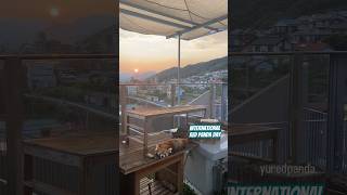 Red panda and scenery 夕陽下的小貓熊 #redpanda #IRPD2023 #레서판다 #レッサーパンダ #小熊貓 #小貓熊 #国際レッサーパンダデー