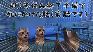 中3冬休み終了手前で死にかけた話 #猫ミーム #実話
