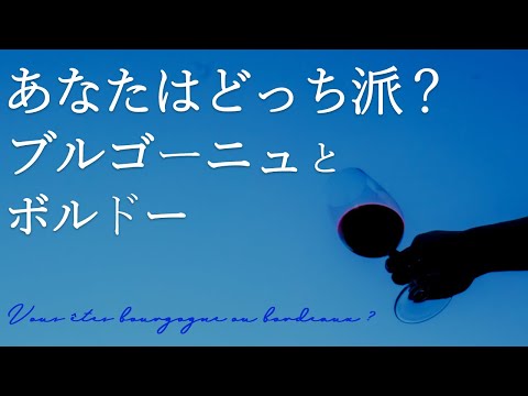 ワインでフランス一周🍷ブルゴーニュとボルドーのワインの違い  ｜歴史と美酒が交差する場所｜誰でも簡単に分かるワイン解説＃7