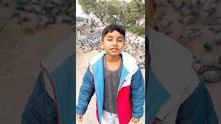 Anant se uda kabootar furrr furrrrrrr🕊️