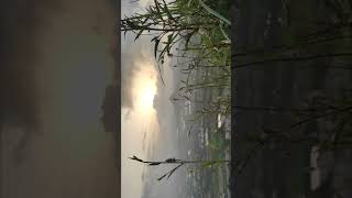 😍#trending #ytshorts #Nature#ViralNature #ScenicView#NatureShorts #WatchTillEnd#PeacefulView #Shorts