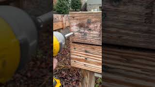 DeWalt and Torx Screws / The Only Way To BUILD !!!!