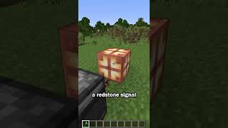 The Copper Block Secret Entrance