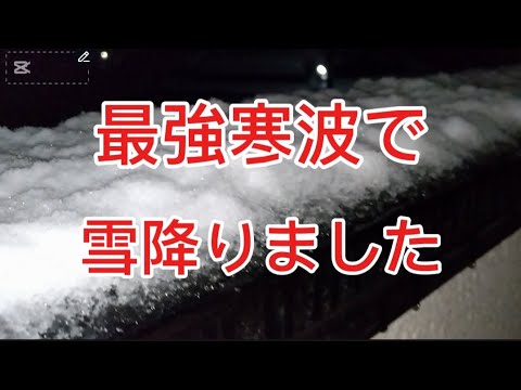 ついに我の県にも雪降った