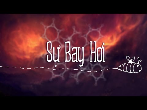 Sự Bay Hơi Của Một Chất