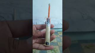 miniature DSC bat|made up of real wood|chandu champion #cricket #diy #craft #cricketbat #miniature