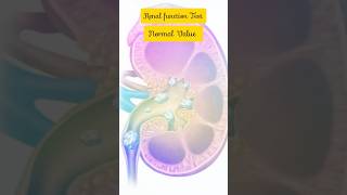 Renal function test । kidney । RFT #shorts