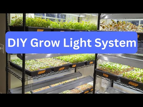 Best Grow Lights | Grow Room Tour For Indoor Plants | Affordable & Easy || Budget Gardening