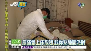 天涼塵蹣擠上床 2百萬隻陪睡