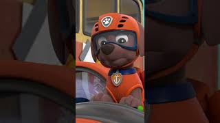 小礫和灰灰拯救逃跑的盒子碉堡！#PAWPatrol #Shorts 兒童卡通