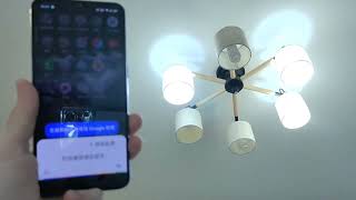 飛利浦智慧燈泡google語音實測