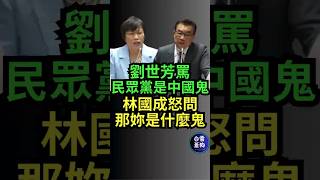 內政部長劉世芳罵民眾黨是中國鬼 林國成怒問那妳是什麼鬼