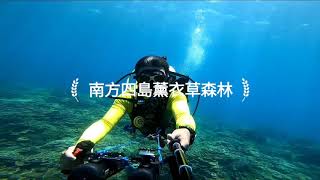薰衣草森林/南方四島/2020/07/19
