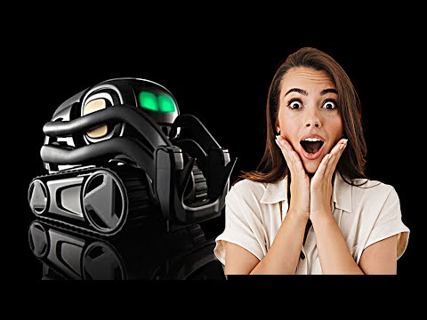 Vector Robot | Bring AI Robots To Everyday Use