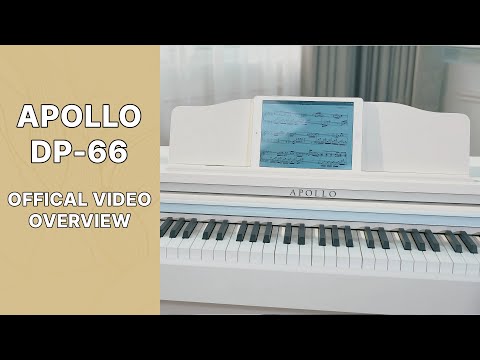 Giới thiệu về cây đàn Piano Apollo DP-66