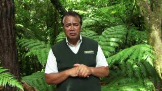Māori values - Aroha