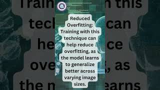 Progressive Resizing in Deep Learning Image Classification