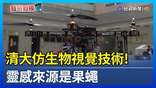 清大仿生物視覺技術！ 靈感來源是果蠅【發現科學】